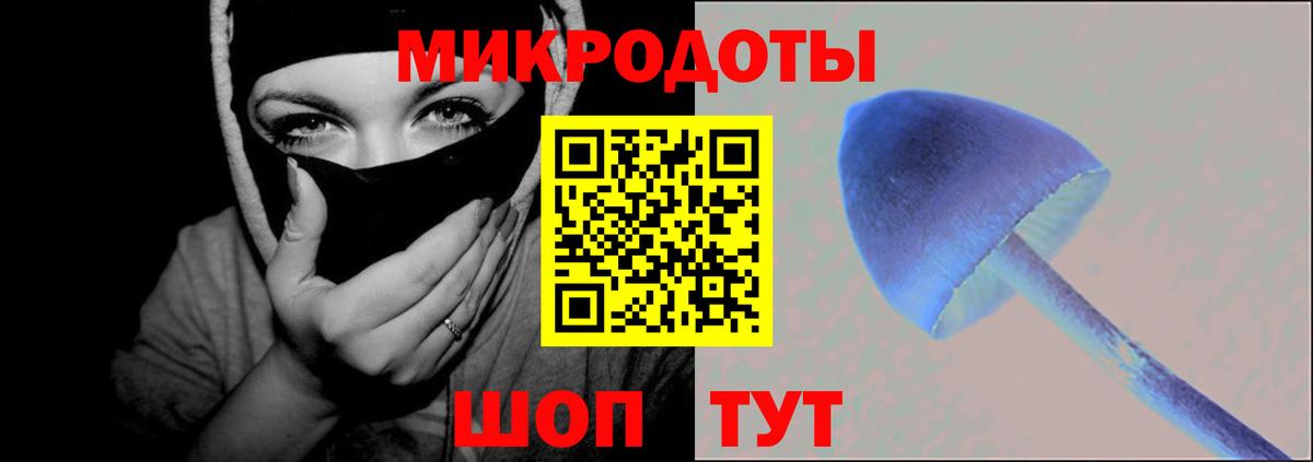 Тосно  Галлюциногенные грибы Cubensis  Галлюциногенные грибы GOLDEN TEACHER  Вход с VPN 