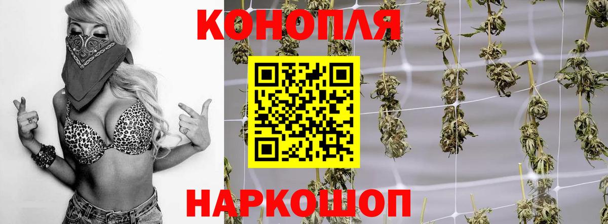 МАРИХУАНА ГИДРОПОН  Бошки марихуана индика  Тосно  Вход с VPN  Конопля тримм 
